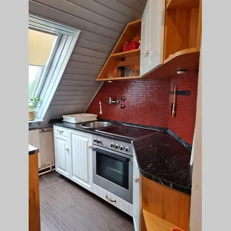Stepin * Kiskunfélegyháza
