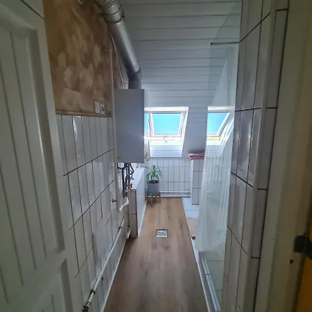 Stepin Daire Kiskunfélegyháza