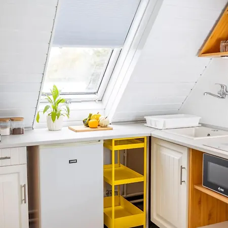 Stepin Kiskunfélegyháza