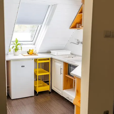 Stepin * Kiskunfélegyháza