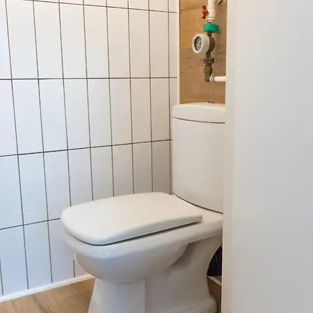 Stepin Kiskunfélegyháza