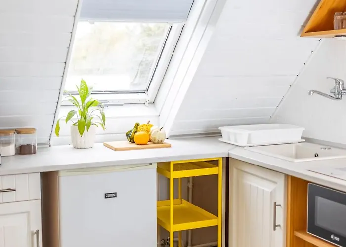 Stepin Kiskunfélegyháza