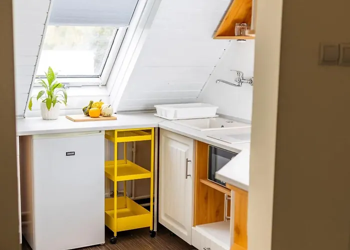 Stepin * Kiskunfélegyháza